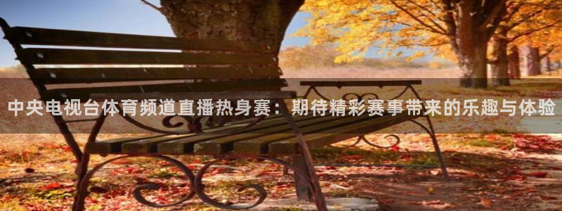 火凤体育nba直播：中央电视台体育频道直播热身赛：期待精彩赛事带来的乐趣与体验