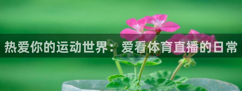 火凤体育：热爱你的运动世界：爱看体育直播的日常