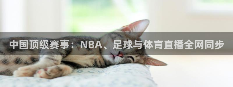 火凤直播体育免费直播：中国顶级赛事：NBA、足球与体育直播全网同步