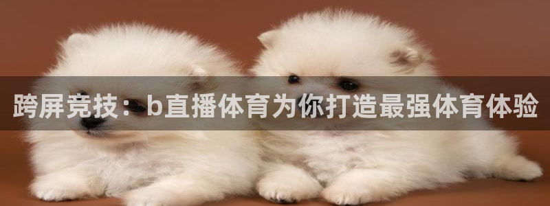 火凤体育直播免费比赛：跨屏竞技：b直播体育为你打造最强体育体验