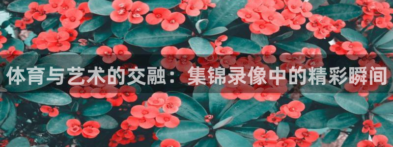 火凤直播篮球免费观看：体育与艺术的交融：集锦录像中的精彩瞬间