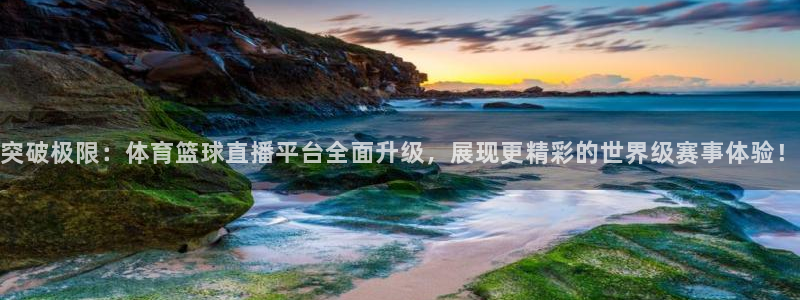 火凤直播五大联赛：突破极限：体育篮球直播平台全面升级，展现更精彩的世界级赛事体验！