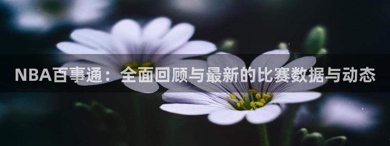 火凤直播体育直播最新赛程：NBA百事通：全面回顾与最新的比赛数据与动态