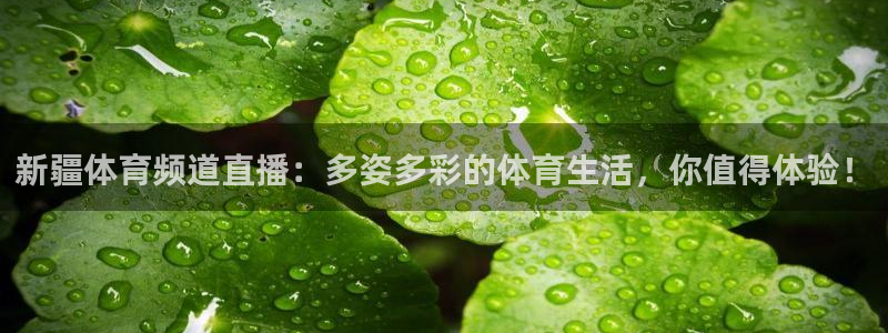 火凤体育直播：新疆体育频道直播：多姿多彩的体育生活，你值得体验！