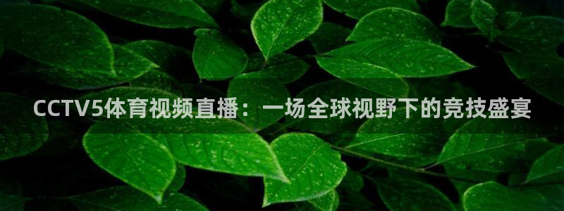火凤体育直播：CCTV5体育视频直播：一场全球视野下的竞技盛宴