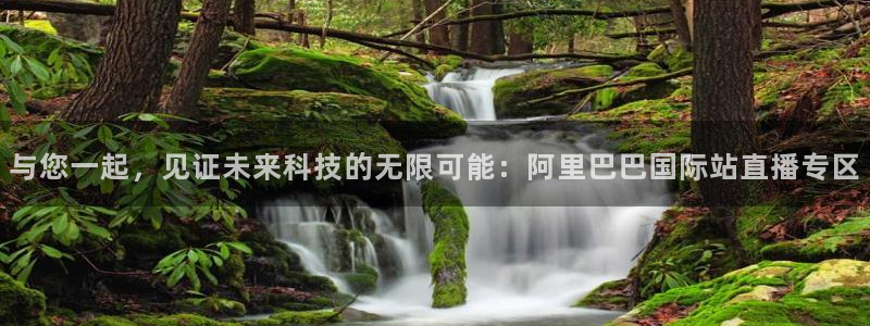 足球直播火凤直播：与您一起，见证未来科技的无限可能：阿里巴巴国际站直播专区