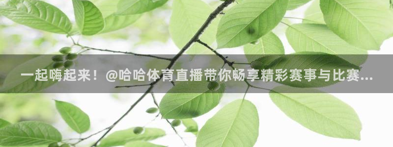nba火凤直播：一起嗨起来！@哈哈体育直播带你畅享精彩赛事与比赛...