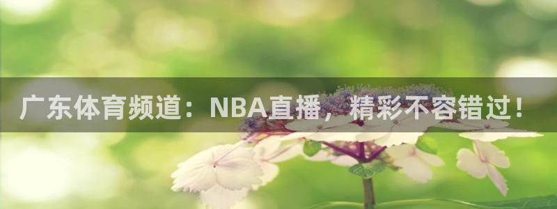 火凤体育免费直播在线观看：广东体育频道：NBA直播，精彩不容错过！